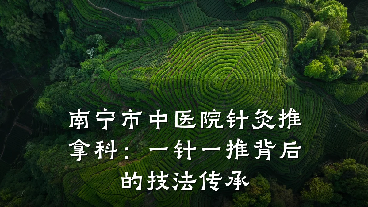 南宁市中医院针灸推拿科:一针一推背后的技法传承