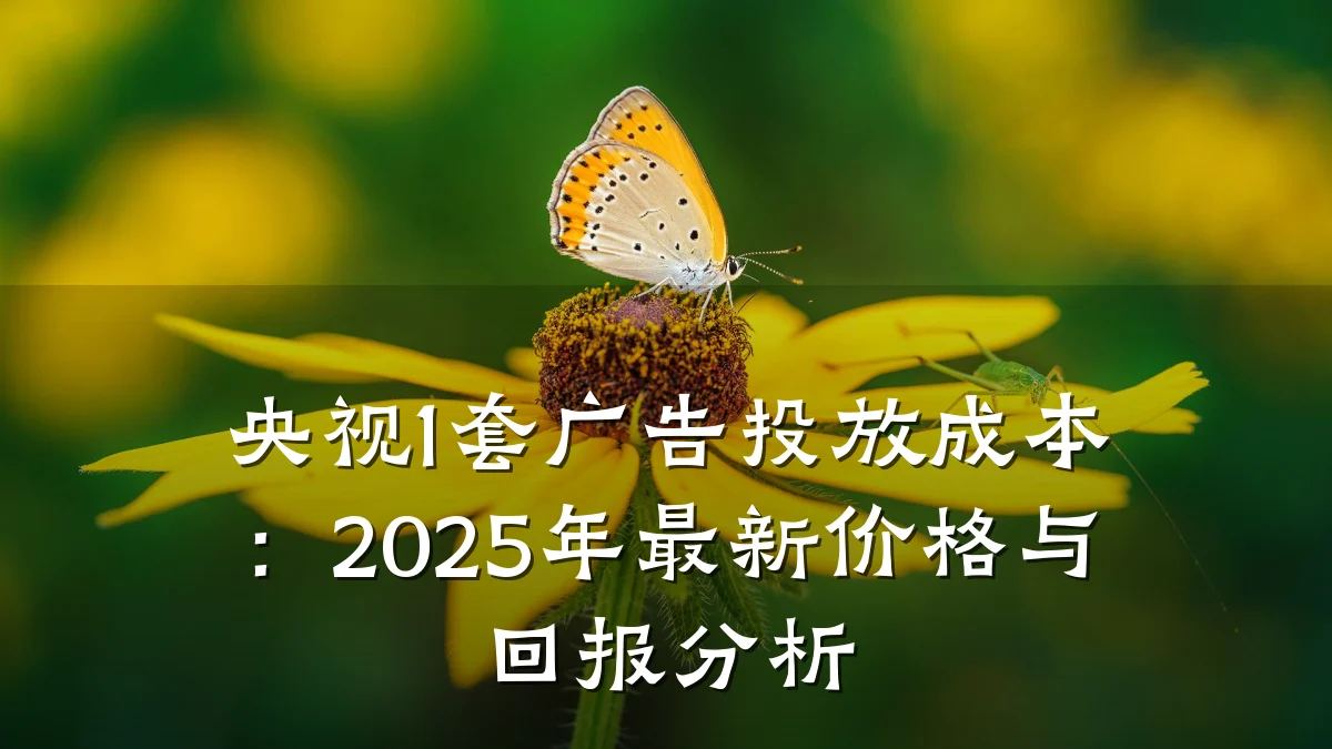 央视1套广告投放成本:2025年最新价格与回报分析