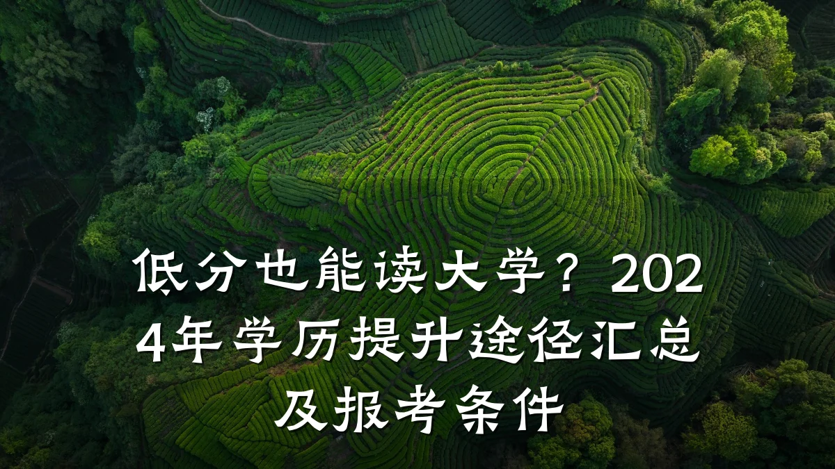低分也能读大学?2024年学历提升途径汇总及报考条件