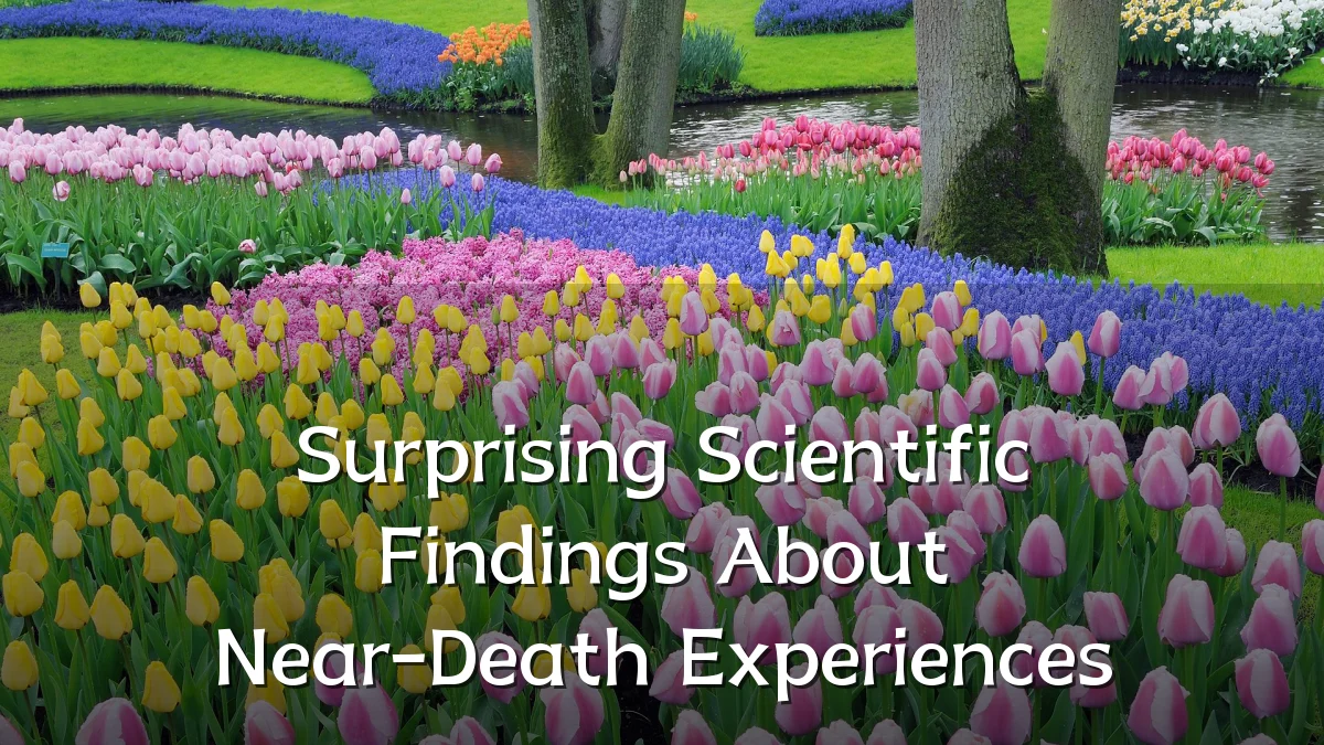 Surprising Scientific Findings About Near-Death Experiences