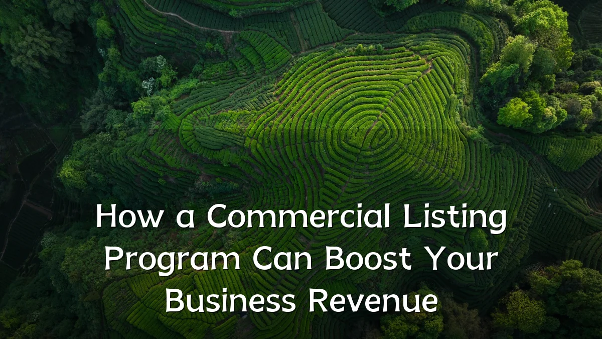 How a Commercial Listing Program Can Boost Your Business Revenue