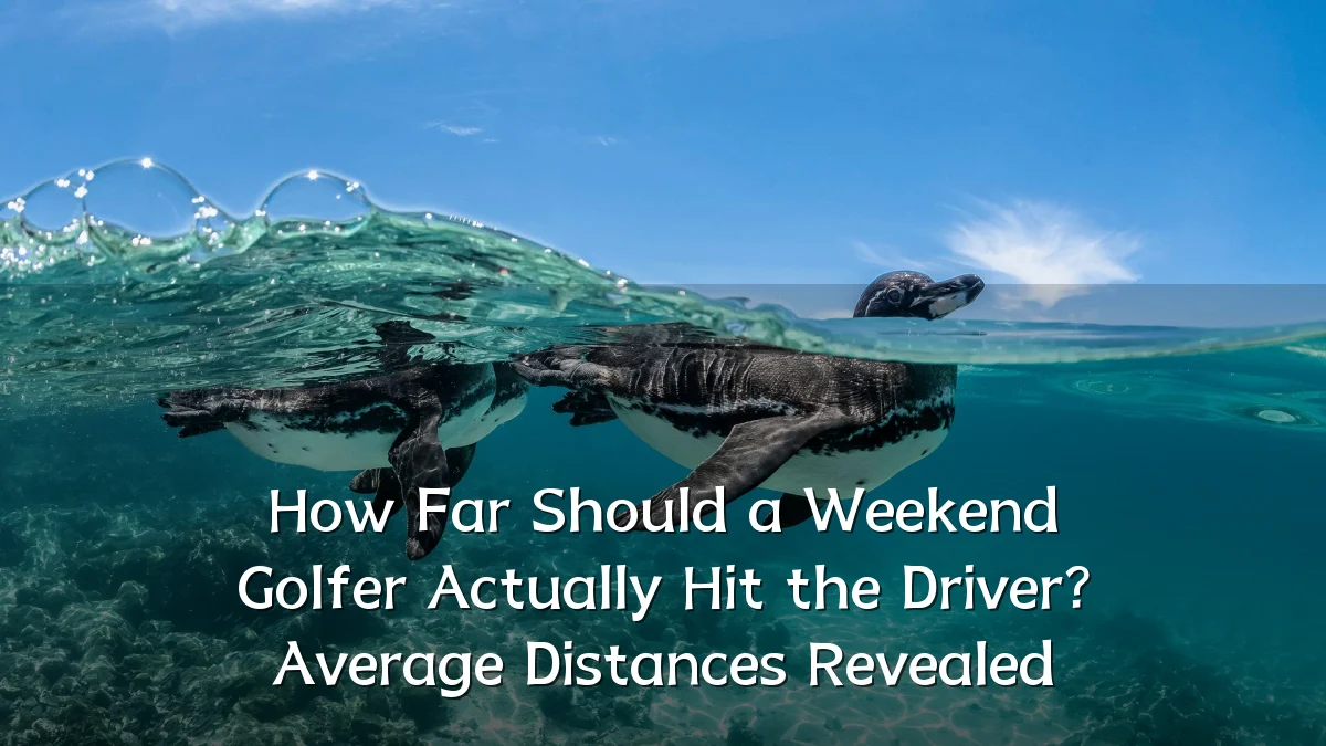 How Far Should a Weekend Golfer Actually Hit the Driver? Average Distances Revealed