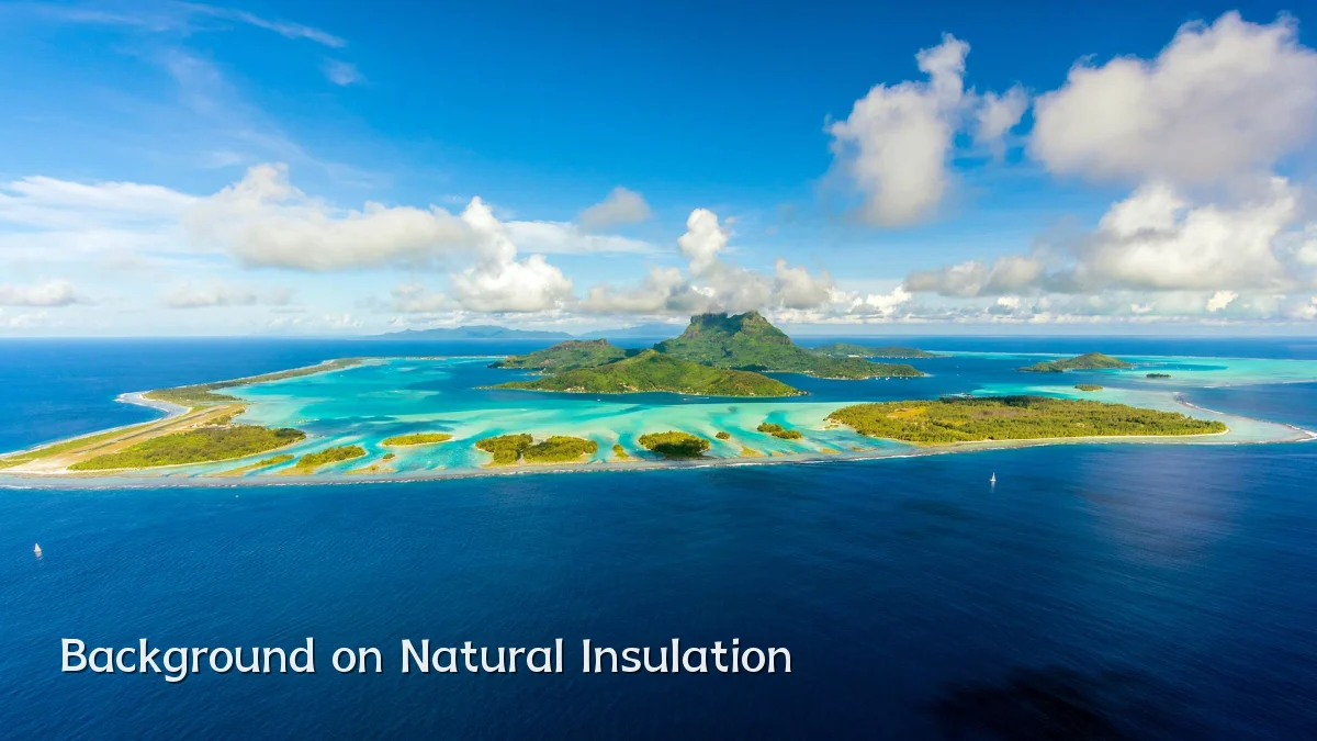 Background on Natural Insulation