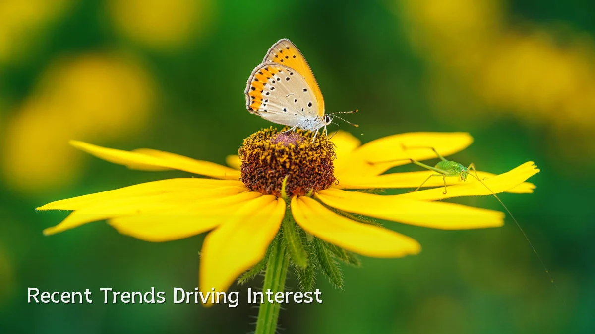 Recent Trends Driving Interest