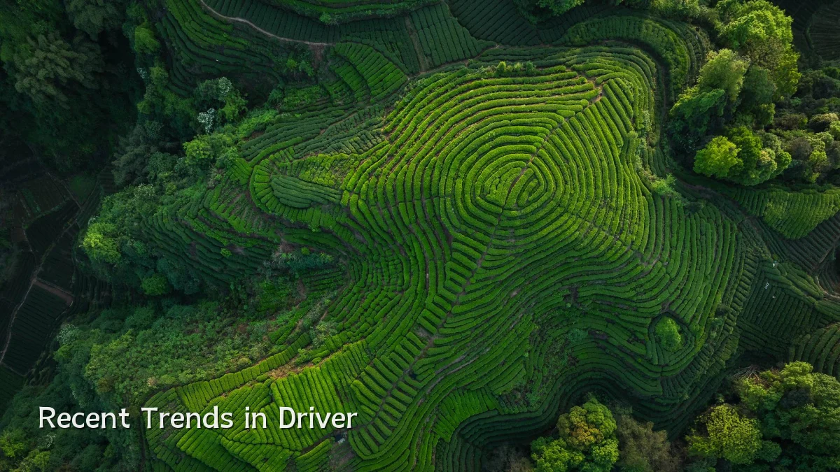 Recent Trends in Driver