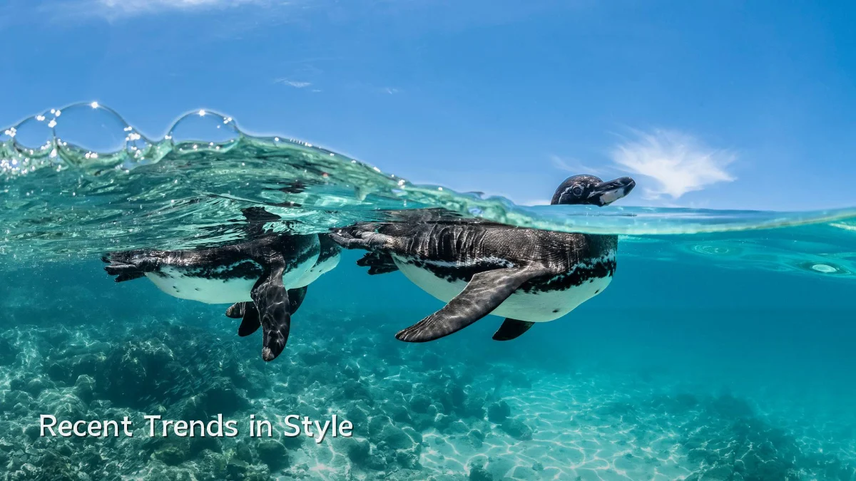 Recent Trends in Style