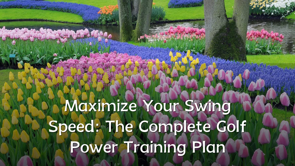 Maximize Your Swing Speed: The Complete Golf Power Training Plan