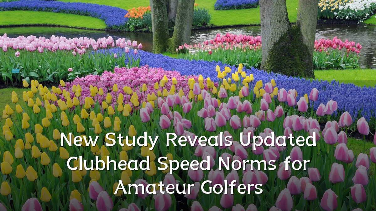 New Study Reveals Updated Clubhead Speed Norms for Amateur Golfers
