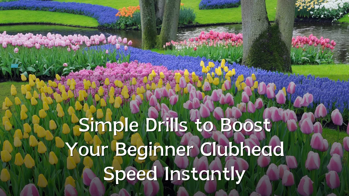 Simple Drills to Boost Your Beginner Clubhead Speed Instantly