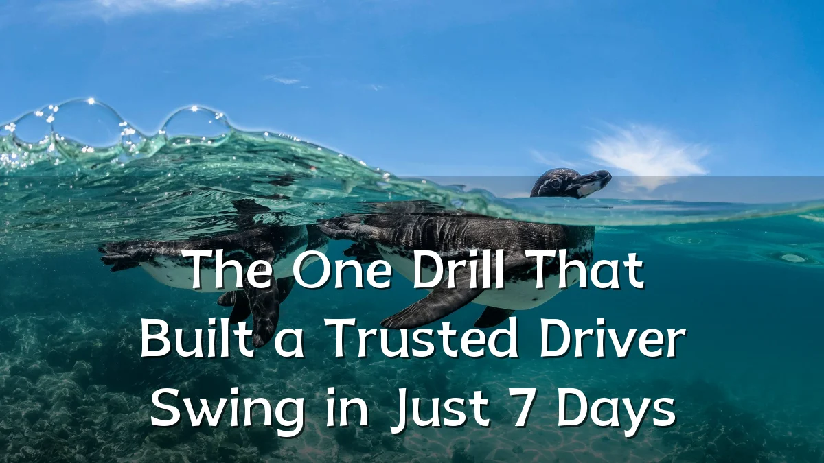 The One Drill That Built a Trusted Driver Swing in Just 7 Days