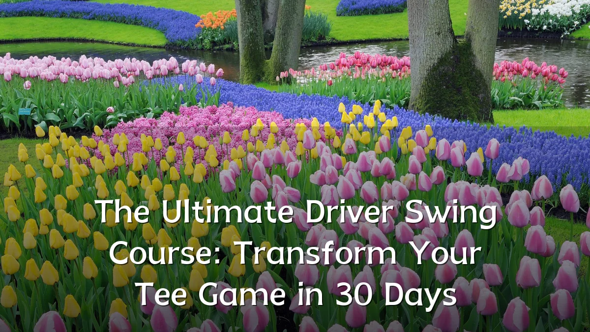 The Ultimate Driver Swing Course: Transform Your Tee Game in 30 Days