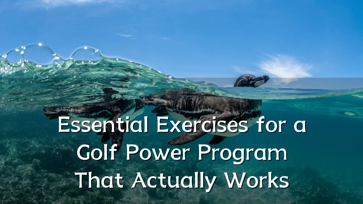 Essential Exercises for a Golf Power Program That Actually Works