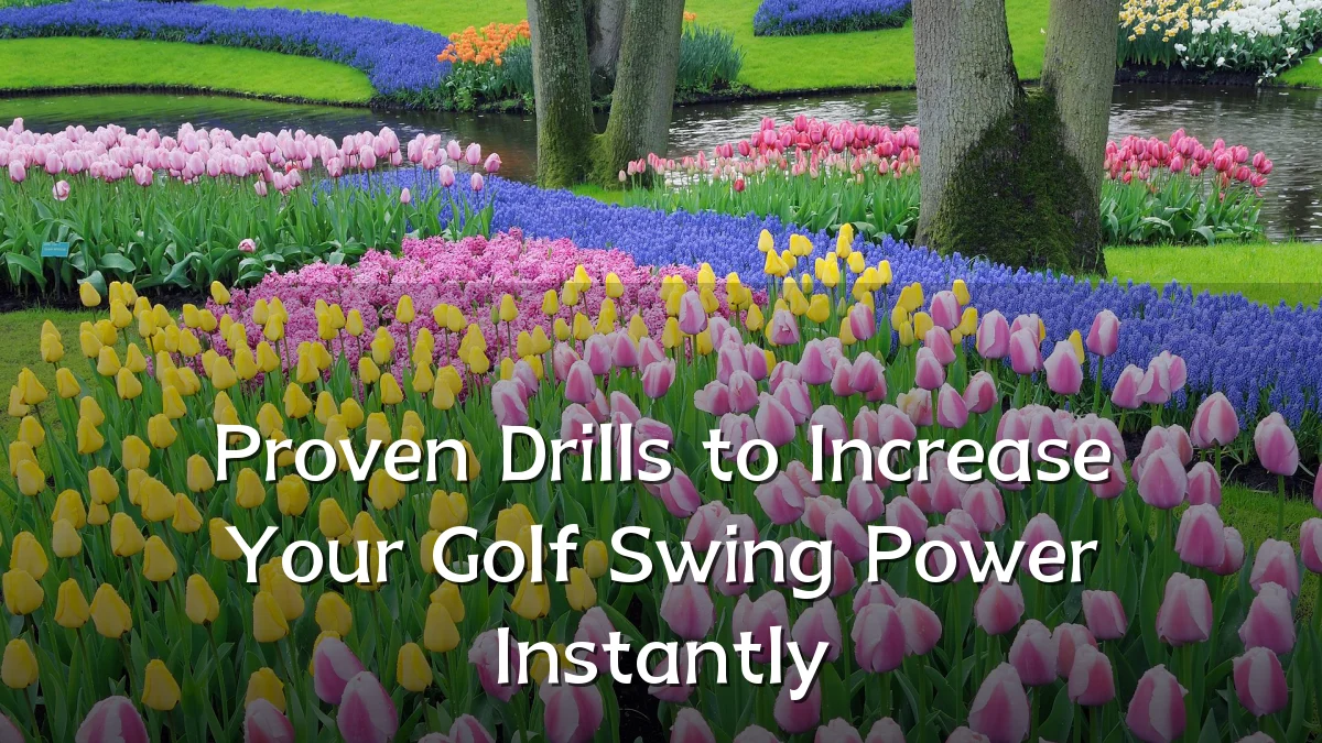 Proven Drills to Increase Your Golf Swing Power Instantly