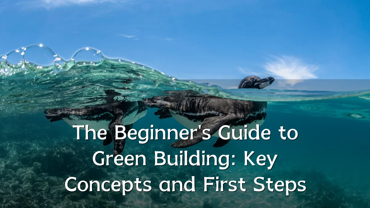The Beginner's Guide to Green Building: Key Concepts and First Steps