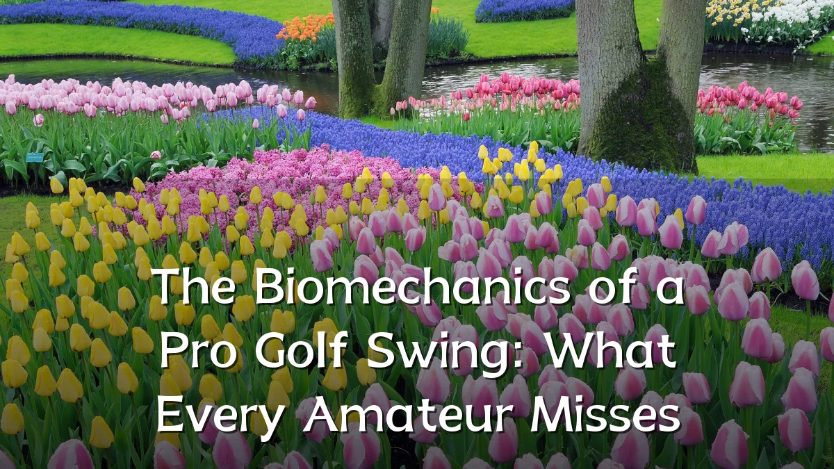 The Biomechanics of a Pro Golf Swing: What Every Amateur Misses