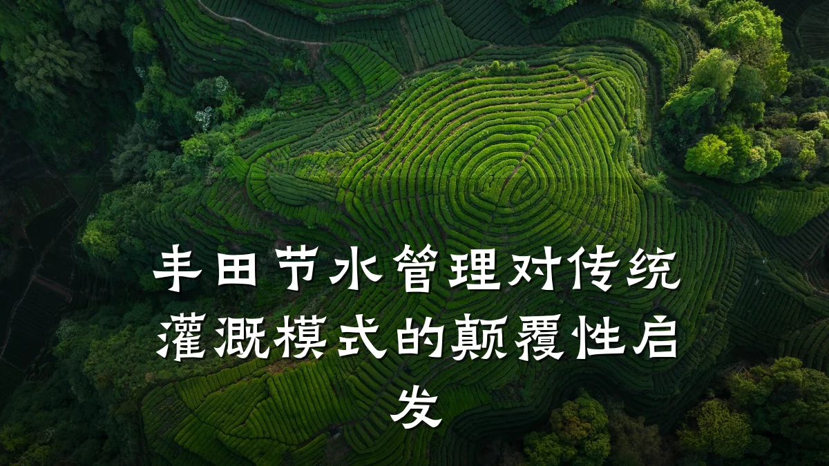 丰田节水管理对传统灌溉模式的颠覆性启发