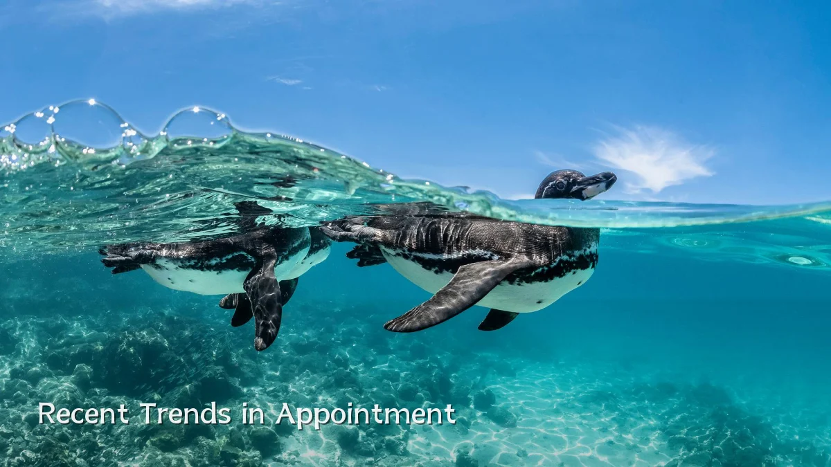 Recent Trends in Appointment