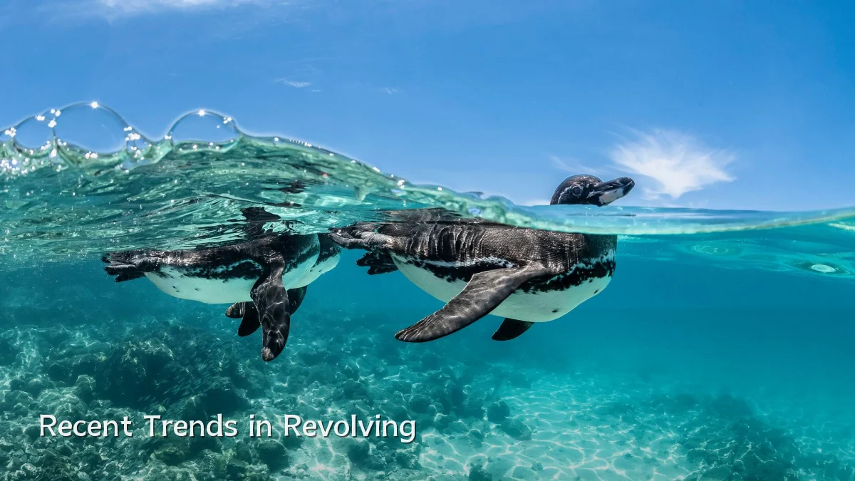 Recent Trends in Revolving
