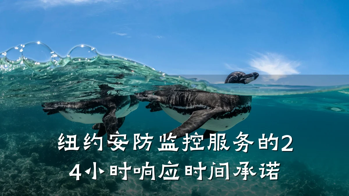纽约安防监控服务的24小时响应时间承诺