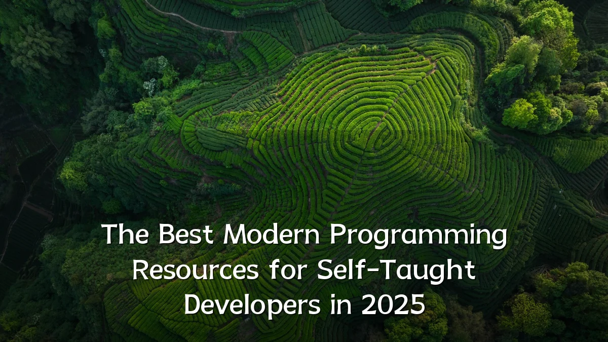 The Best Modern Programming Resources for Self-Taught Developers in 2025