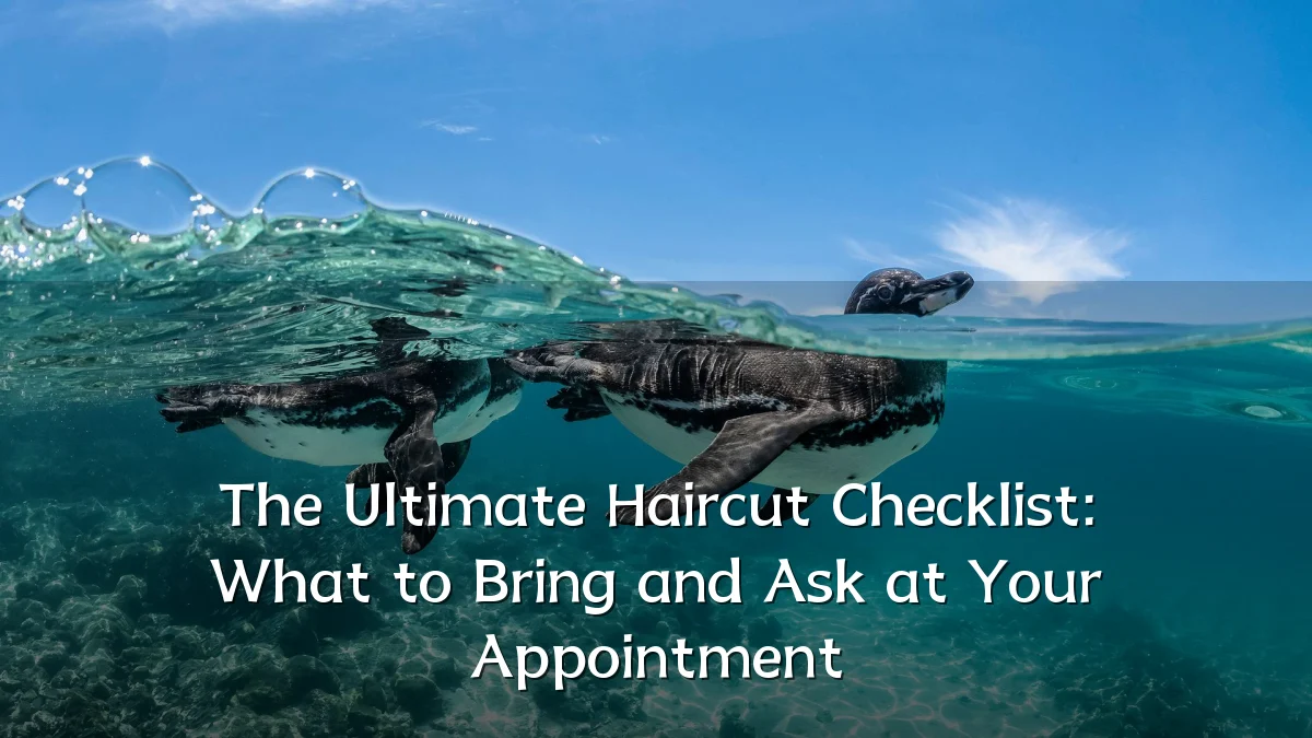 The Ultimate Haircut Checklist: What to Bring and Ask at Your Appointment