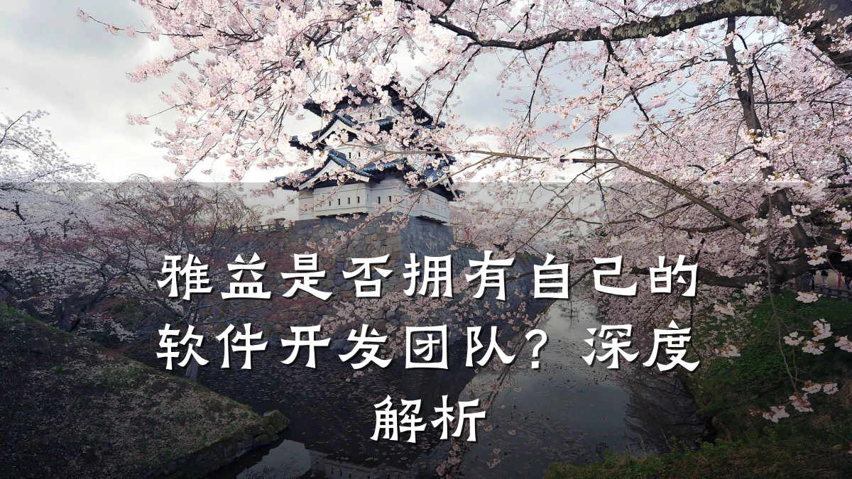 雅益是否拥有自己的软件开发团队?深度解析