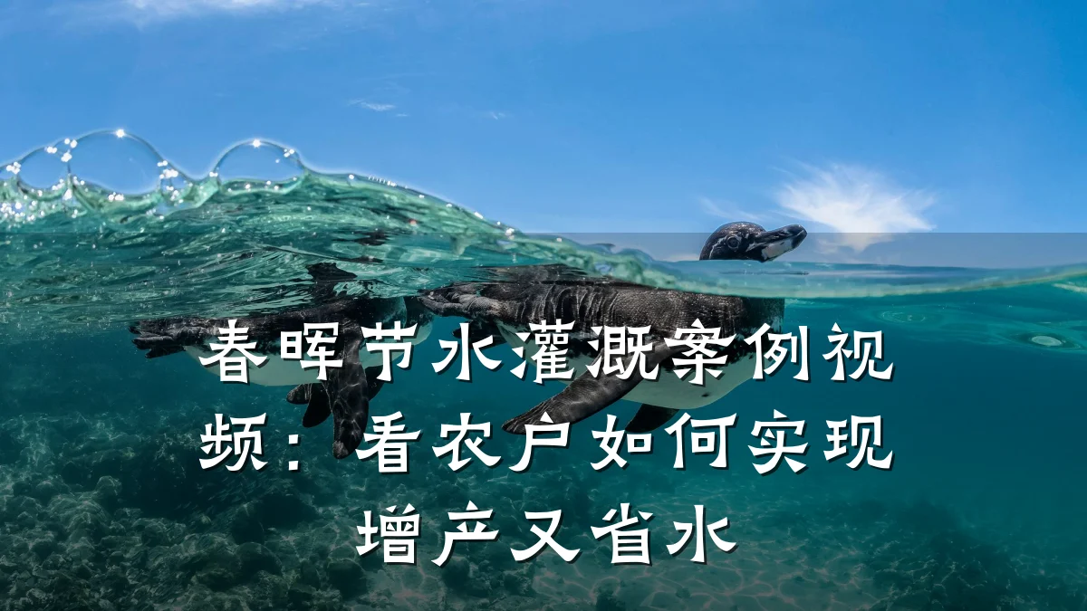 春晖节水灌溉案例视频:看农户如何实现增产又省水