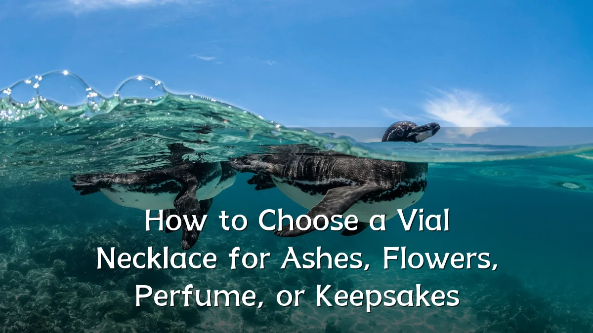 How to Choose a Vial Necklace for Ashes, Flowers, Perfume, or Keepsakes