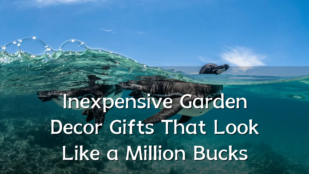 Inexpensive Garden Decor Gifts That Look Like a Million Bucks