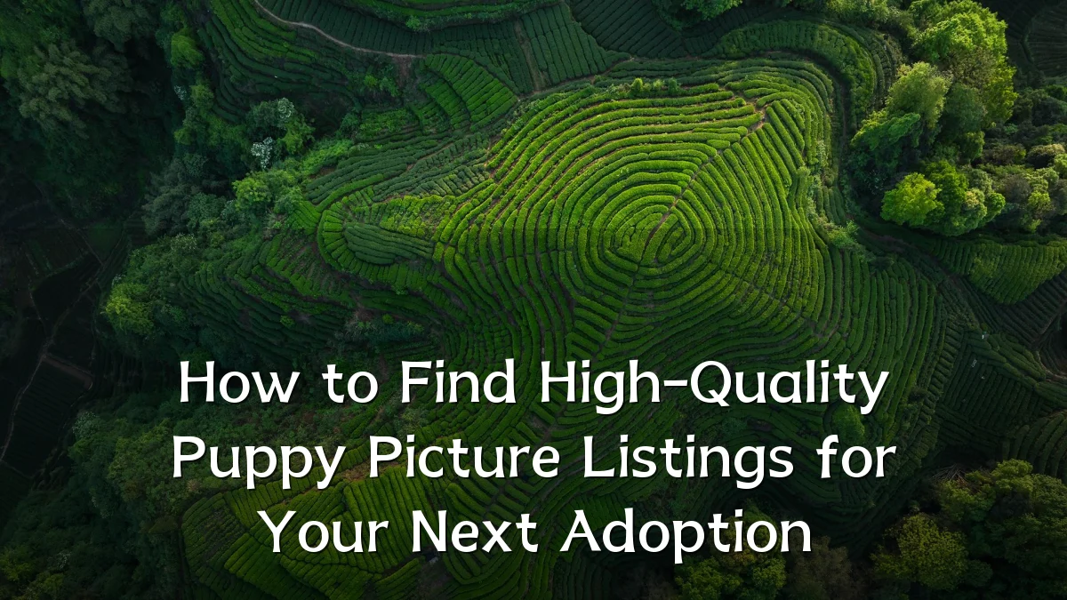 How to Find High-Quality Puppy Picture Listings for Your Next Adoption