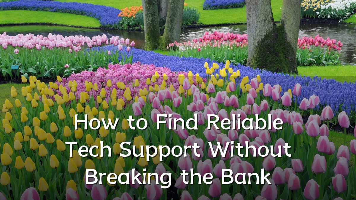How to Find Reliable Tech Support Without Breaking the Bank