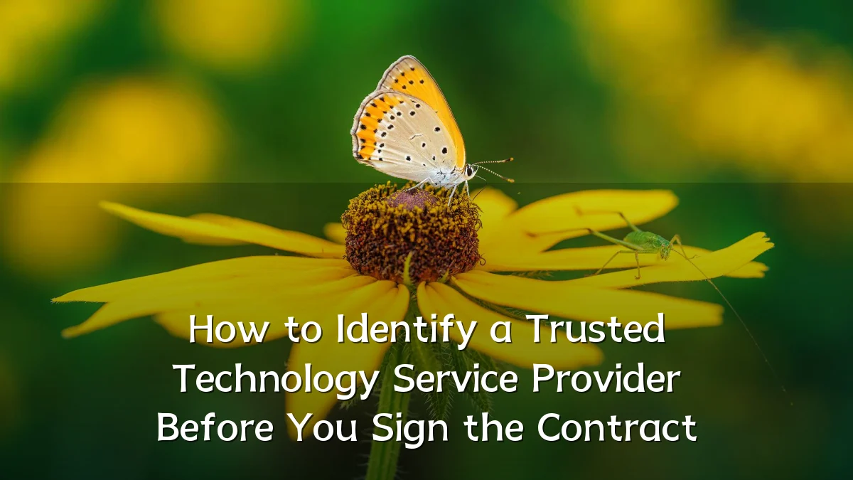 How to Identify a Trusted Technology Service Provider Before You Sign the Contract