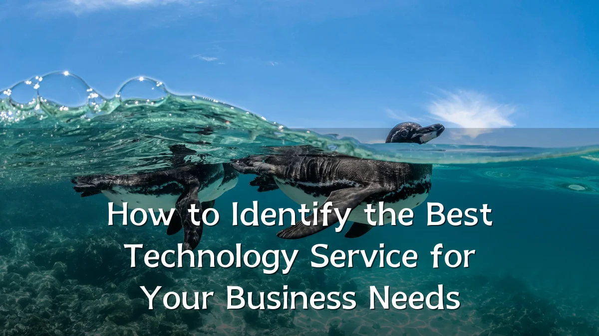 How to Identify the Best Technology Service for Your Business Needs