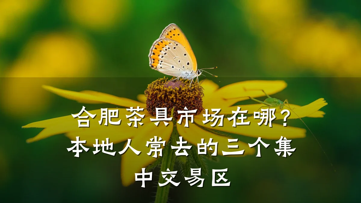 合肥茶具市场在哪?本地人常去的三个集中交易区